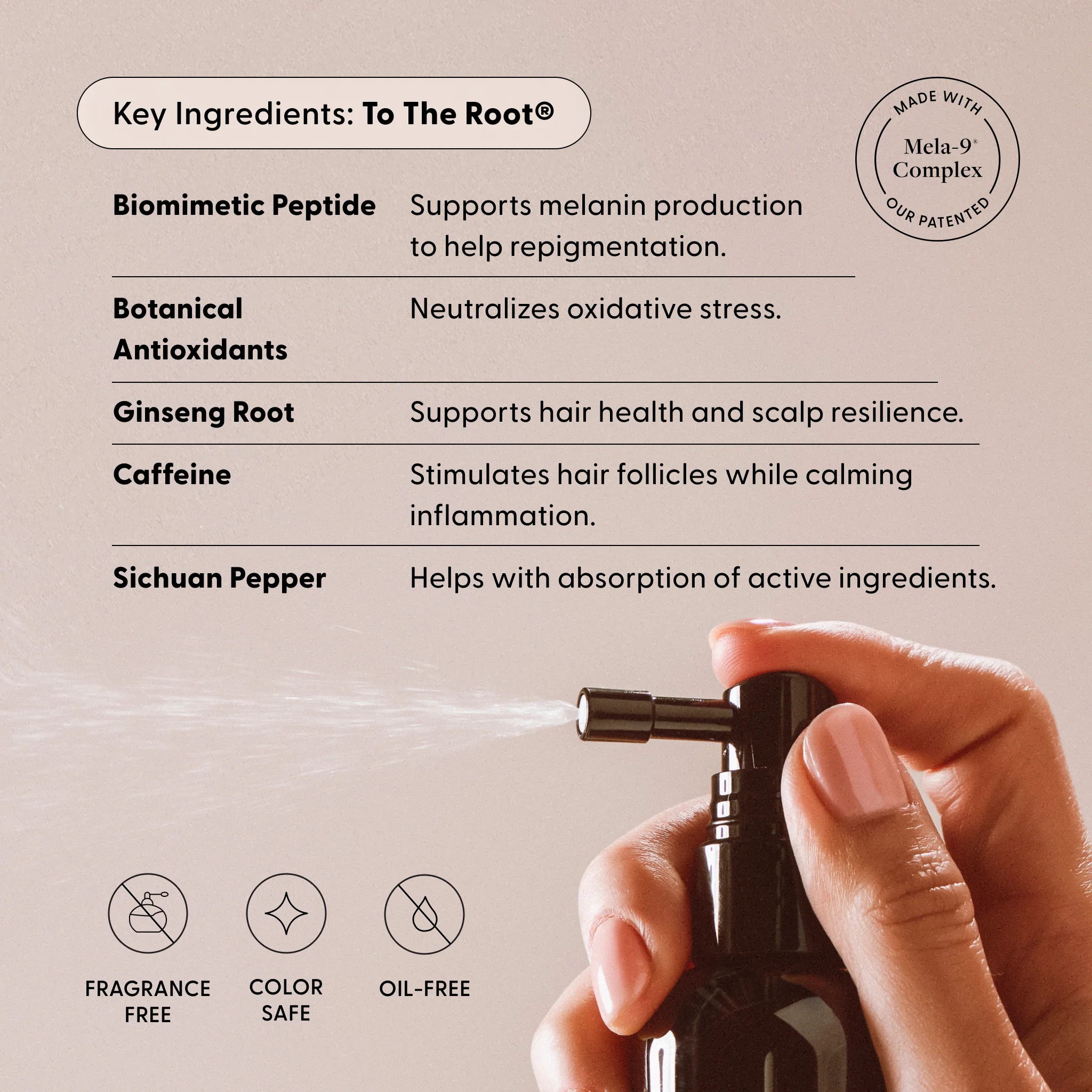 The Essentials Kit - Image 10