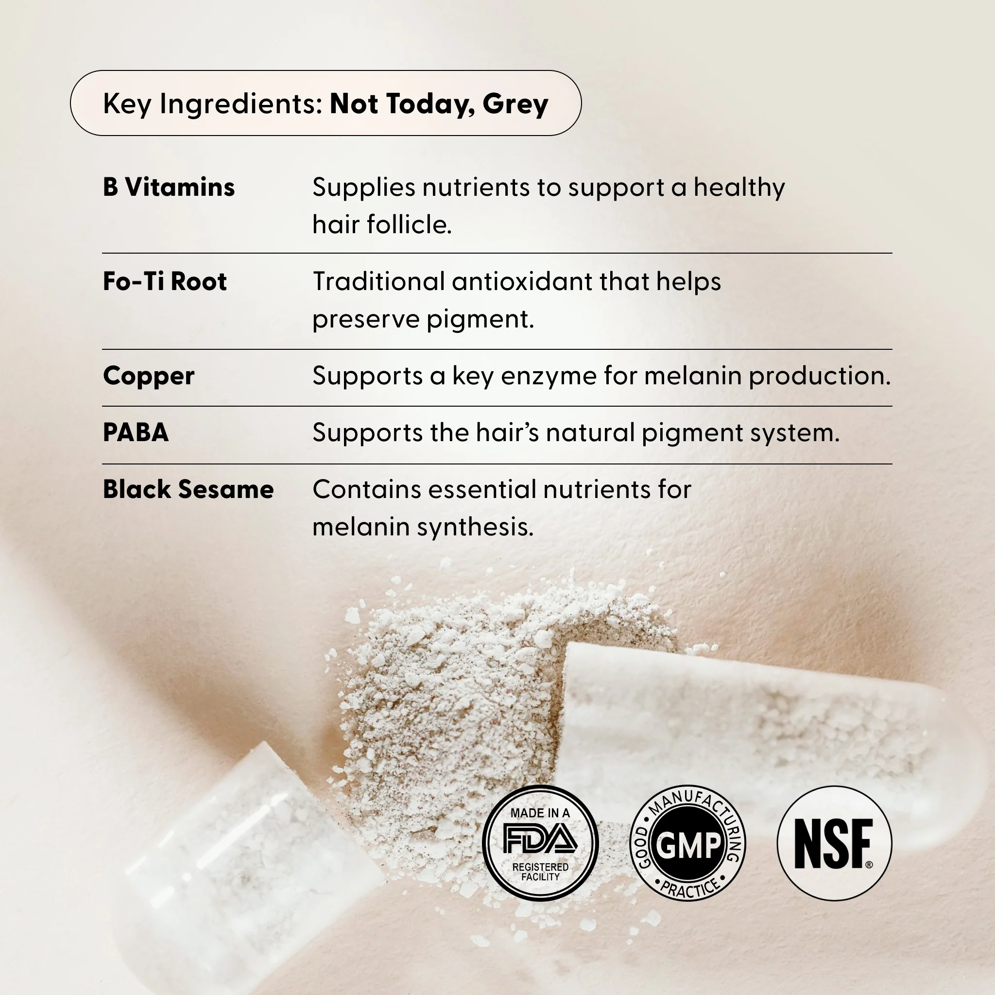 The Essentials Kit - Image 9