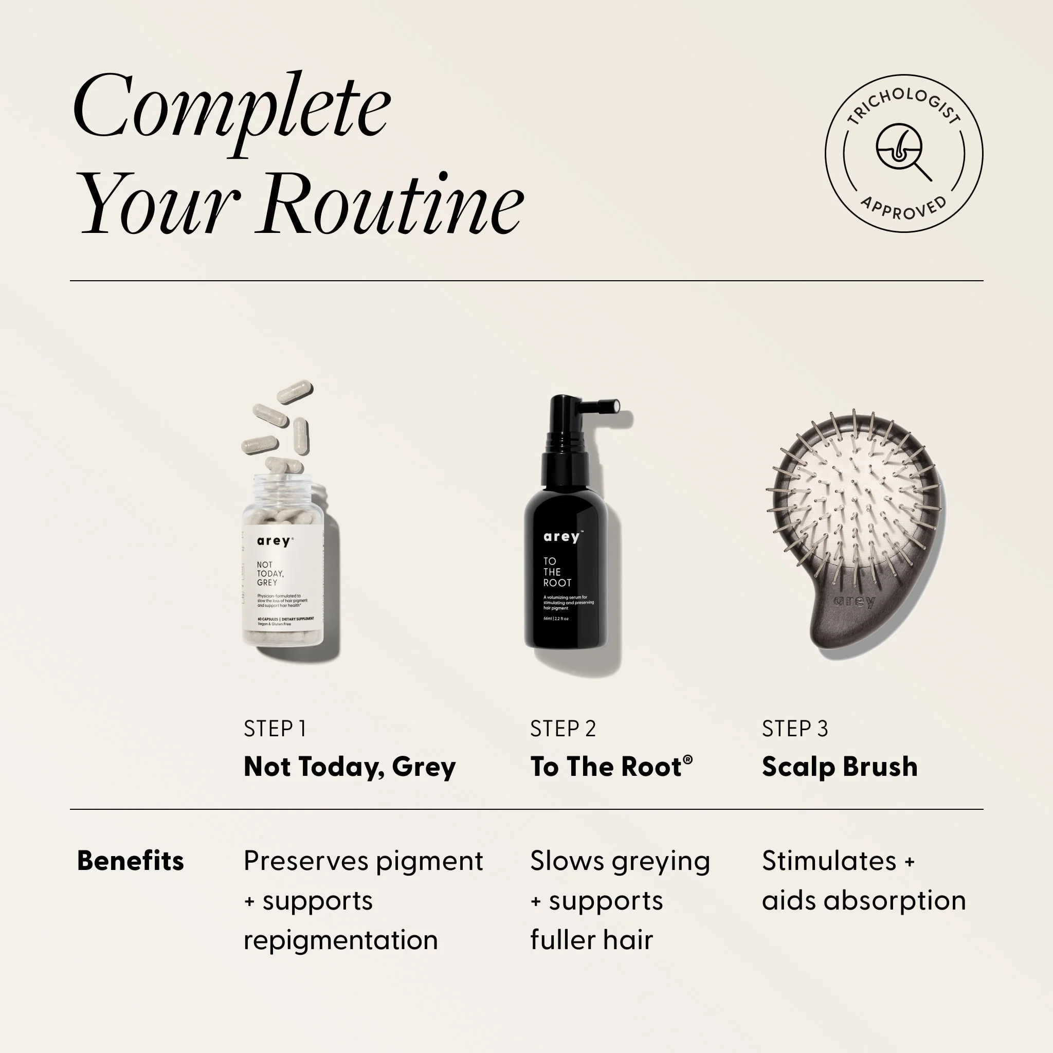 The Scalp Brush - Image 4
