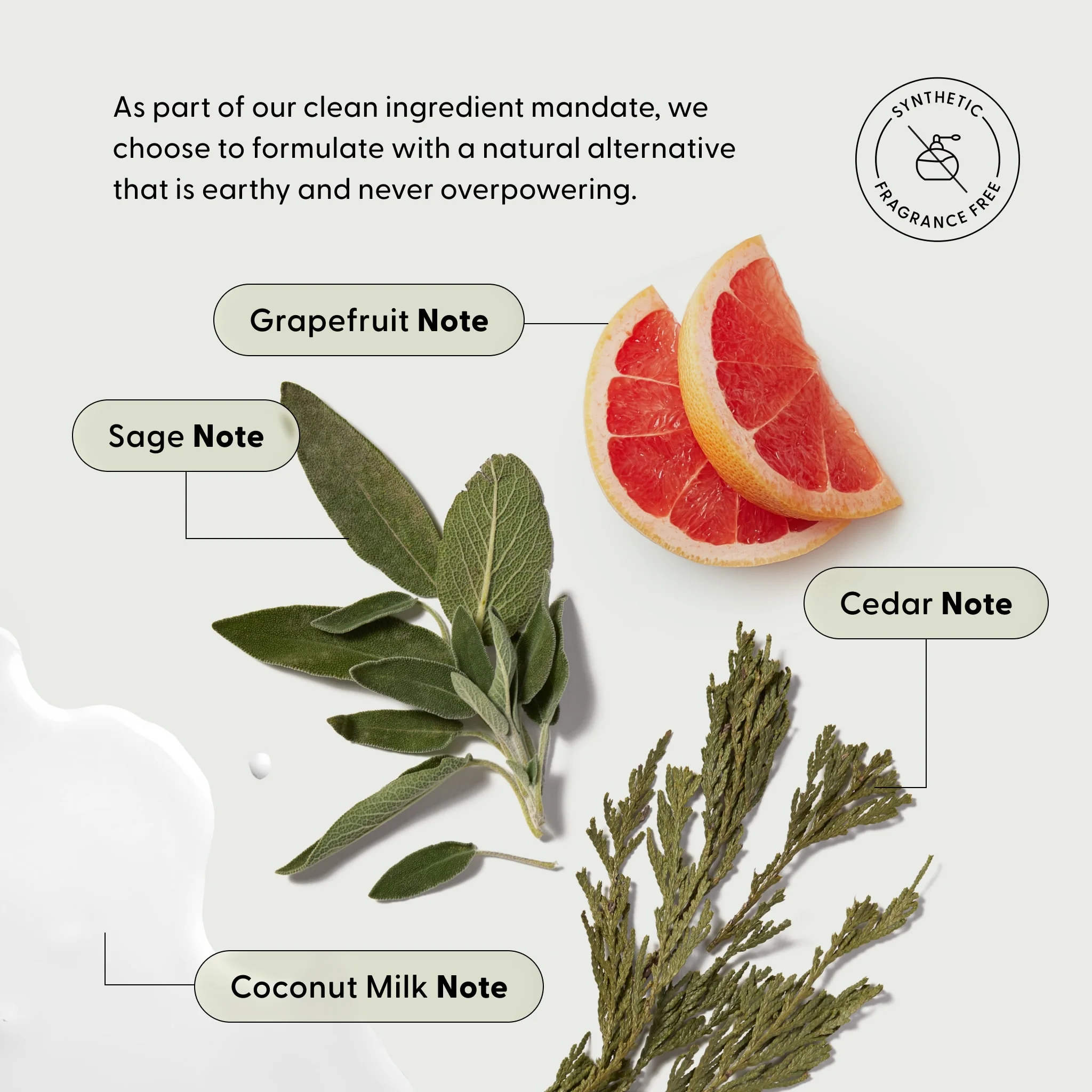 Wait A Sec® Dry Shampoo - Image 6